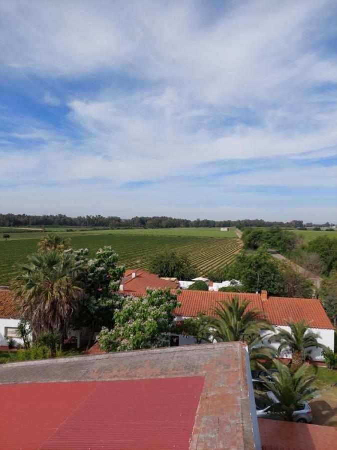 Hotel rural Villa Torreaguila Badajoz Esterno foto